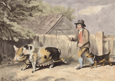 Boer brengt zijn varken naar de markt door English School