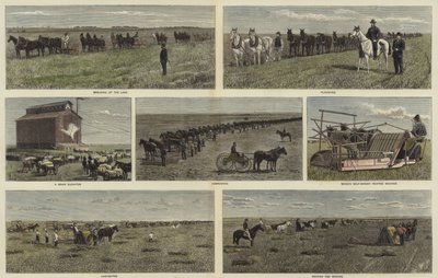 Boeren op de vlaktes van Noord-Amerika door English School