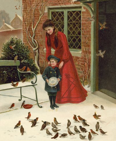 Vogels voeren door English School
