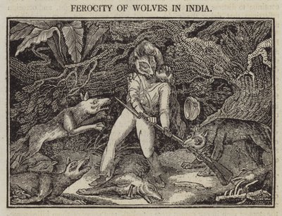 Wreedheid van Wolven in India door English School