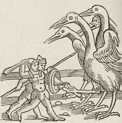 Gevecht tussen Pygmeeën en Kraanvogels. Een verhaal uit de Griekse mythologie. Uit The Strand Magazine gepubliceerd 1897. door English School