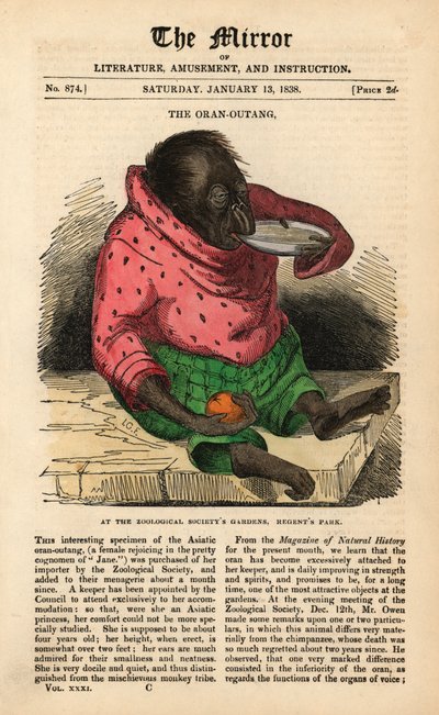 Voorpagina van The Mirror van 13 januari 1838 ter viering van de aankomst van een Orang-oetan in de Zoological Society