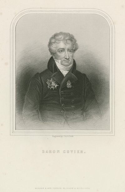Georges Cuvier, Franse natuuronderzoeker en zoöloog (gravure) door English School