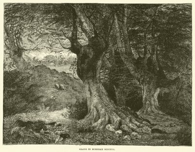 Glade in Burnham Beeches (gravure) door English School