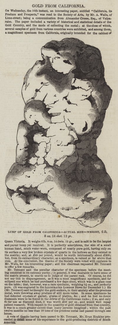 Goud uit Californië (gravure) door English School