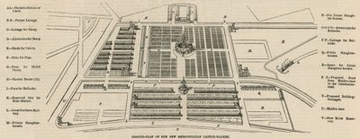 Grondplan van de nieuwe Metropolitaan Veemarkt, Kopenhagen Velden door English School