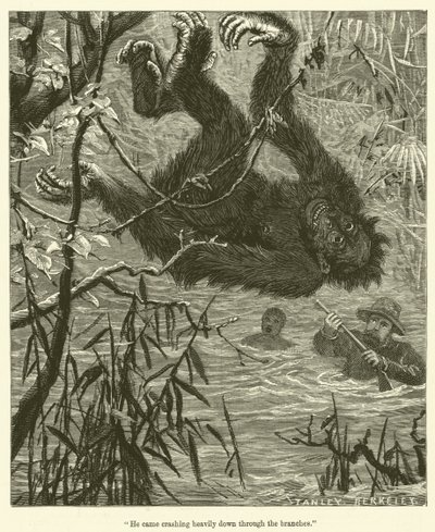 "Hij kwam zwaar neergestort door de takken" (gravure) door English School