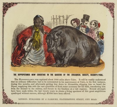 Nijlpaard in de tuinen van de Zoological Society, Regents Park, Londen door English School