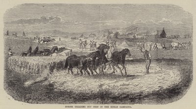 Paarden die graan uitrijden in de Romeinse Campagna (gravure) door English School