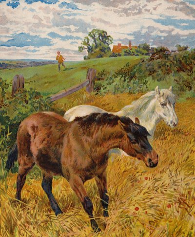 Paarden in een Korenveld door English School