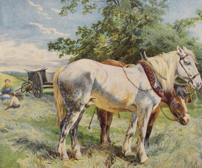 Paarden nemen een pauze van het werk op een boerderij door English School