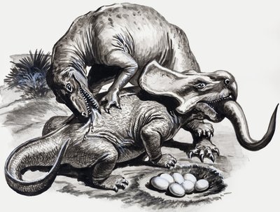 In de dagen van de dinosauriërs: Ontdekking in de woestijn door English School