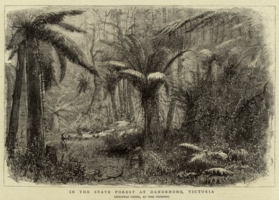 In het staatsbos bij Dandenong, Victoria (gravure) door English School
