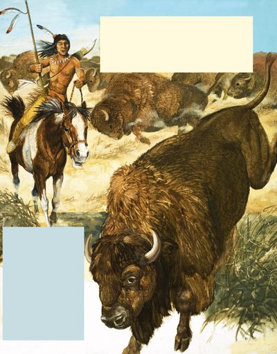 Indiaan achtervolgt een buffel door English School
