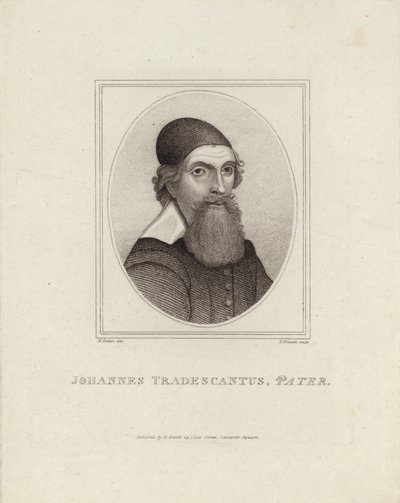 Johannes Tradescantus Pater door English School