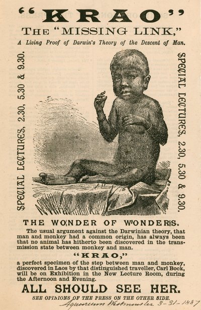 Krao, De Ontbrekende Schakel, tentoongesteld in het Aquarium, Westminster, Londen, in 1887 door English School