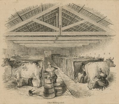 Laycocks Melkveehouderij, gedateerd juli 1841 door English School