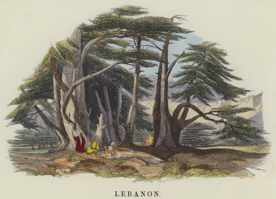 Libanon door English School