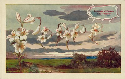 Lelie betekent vrede in de taal van bloemen (kleurenlitho) door English School