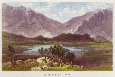Little Langdale Tarn door English School