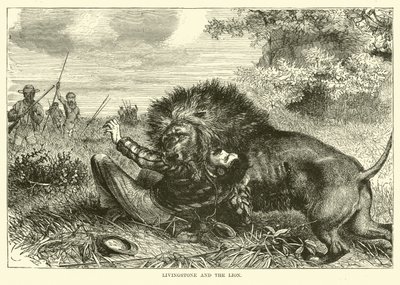 Livingstone en de leeuw door English School