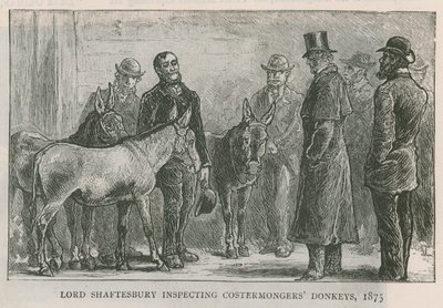 Lord Shaftesbury inspecteert de ezels van de straatverkopers door English School