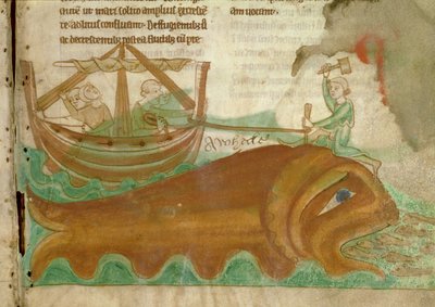 MS.254.f33r Een walvis met een zeeman die een paal in zijn hoofd slaat, detail uit een Engels Bestiarium, begin 13e eeuw (perkament) door English School