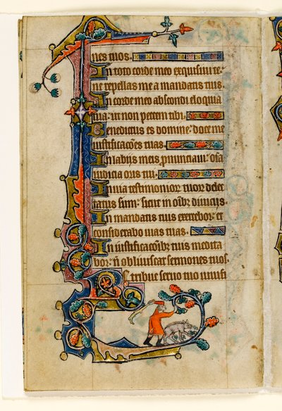 Een varkenshoeder die eikels naar beneden slaat voor een varken, marginale decoratie uit de Macclesfield Psalter, Gebruik van Sarum, Oost-Anglia, ca. 1330 door English School