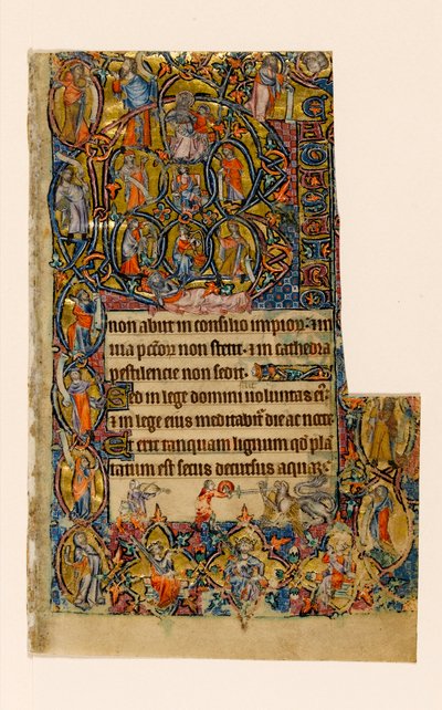 MS 1-2005, fol. 9r: De Boom van Jesse en de Beatus-initiaalrand met muzikant en grotesk gevecht, uit de Macclesfield Psalter, Gebruik van Sarum, Oost-Anglia, c.1330 door English School