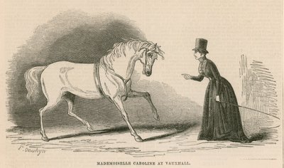 Mademoiselle Caroline in Vauxhall Gardens, Londen door English School