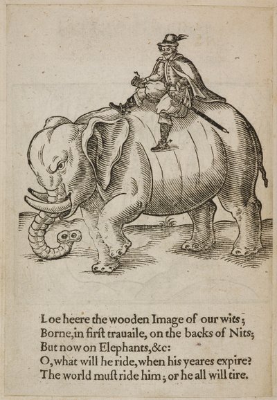 Man die op een olifant rijdt, illustratie uit 