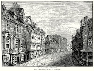 Mardol Street, Shrewsbury (engraving) door English School