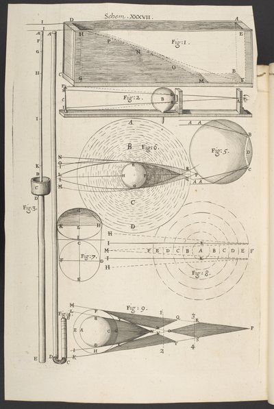 Micrographia, of enkele fysiologische beschrijvingen van kleine lichamen gemaakt door vergrootglazen, met observaties en onderzoeken daarop, Robert Hooke door English School