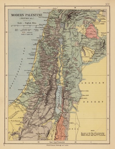 Modern Palestina door English School