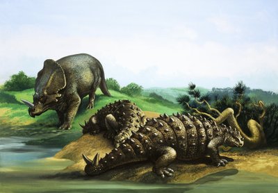 Monoclonius en Scolosaurus door English School