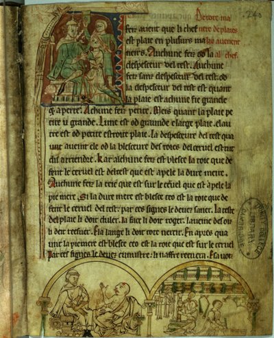 Ms.O.1.20.f.241v Jerome: Een dokter bezoekt een patiënt en een apotheker, uit 