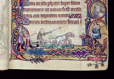 David en de dwaas, gehistorieerde initiaal uit de Macclesfield Psalter, Gebruik van Sarum, Oost-Anglia, c.1330 (detail) door English School