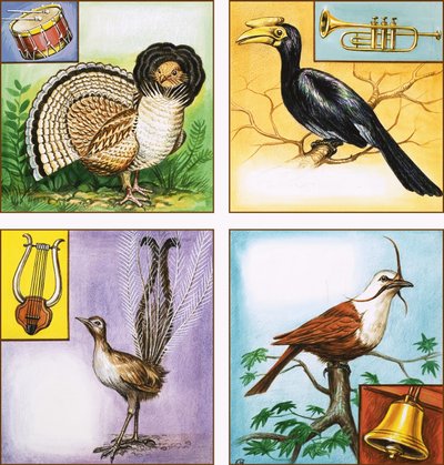 Muziekinstrument Vogels door English School