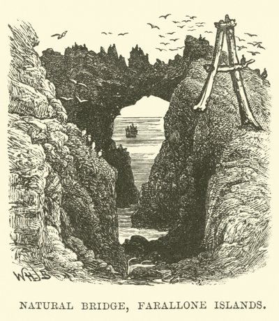 Natuurlijke Brug, Farallone-eilanden door English School