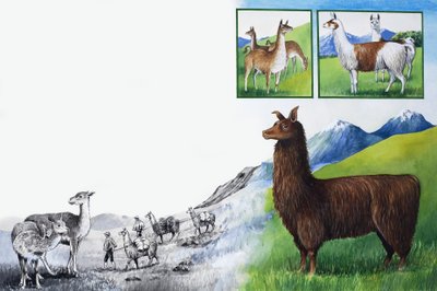 Het koninkrijk van de natuur: Kijk -- Geen bulten! door English School