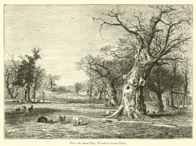 Bij de Geitenstal, Windsor Great Park door English School
