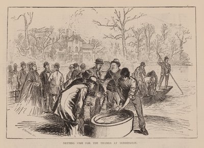 Visnet voor de Theems bij Teddington (gravure) door English School