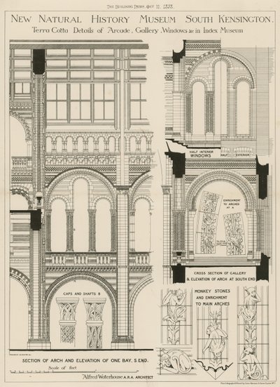 Nieuw Natuurhistorisch Museum, South Kensington, Londen door English School