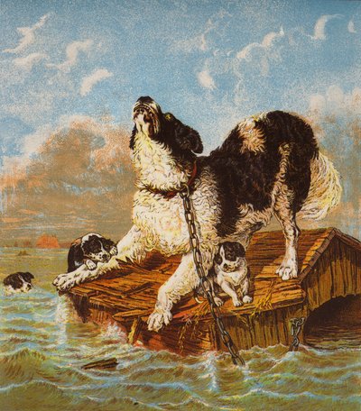 Newfoundland Hond en Puppies in Nood door English School