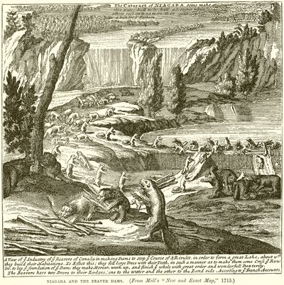 Niagara en de Beverdammen door English School