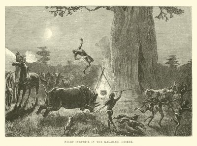Nachtelijke verrassing in de Kalahari-woestijn door English School