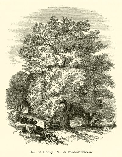 Eik van Hendrik IV, in Fontainebleau (gravure) door English School