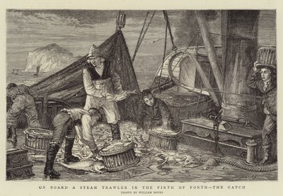 Aan boord van een stoomtrawler in de Firth of Forth, de vangst door English School