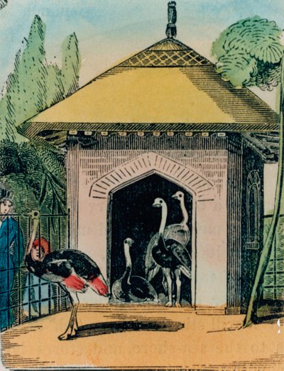 Struisvogel- en emoehuis in de dierentuin van Londen. 1840s door English School