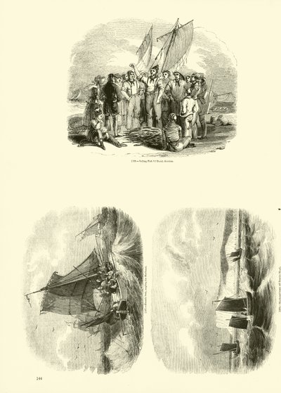 Pagina uit Het Picturale Museum van Geanimeerde Natuur door English School